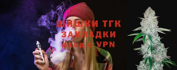 мдпв Пыталово