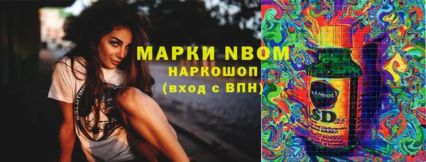 мдпв Пыталово