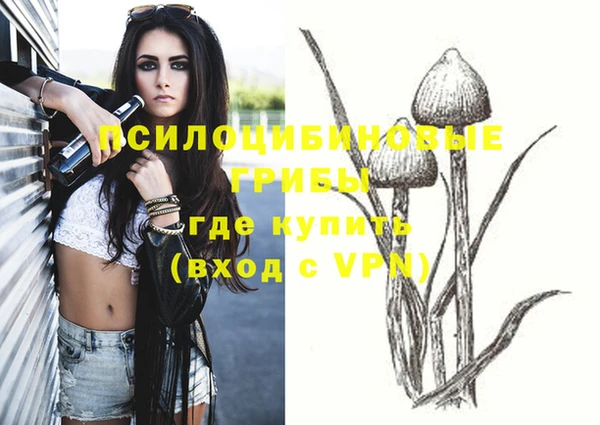 эйфоретик Покров