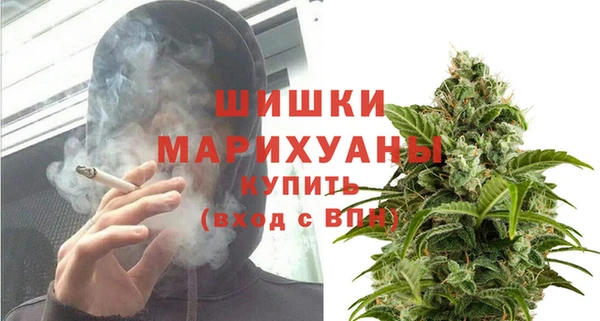 ПСИЛОЦИБИНОВЫЕ ГРИБЫ Переславль-Залесский