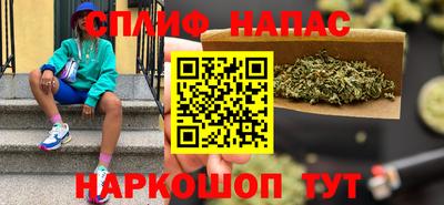 бошки Дубна